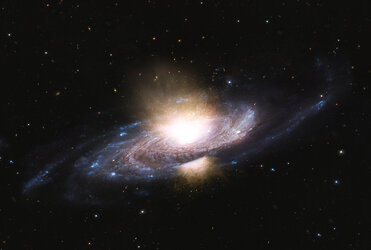 Strong black hole winds reshape a galaxy